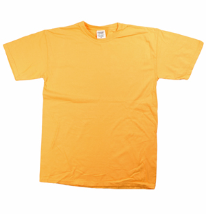 Closeout T-Shirts Wholesale | Cheap Bulk Tee Shirts $1 Dollar or Under